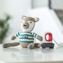 Load image into Gallery viewer, Easypress Mini, Raspberry